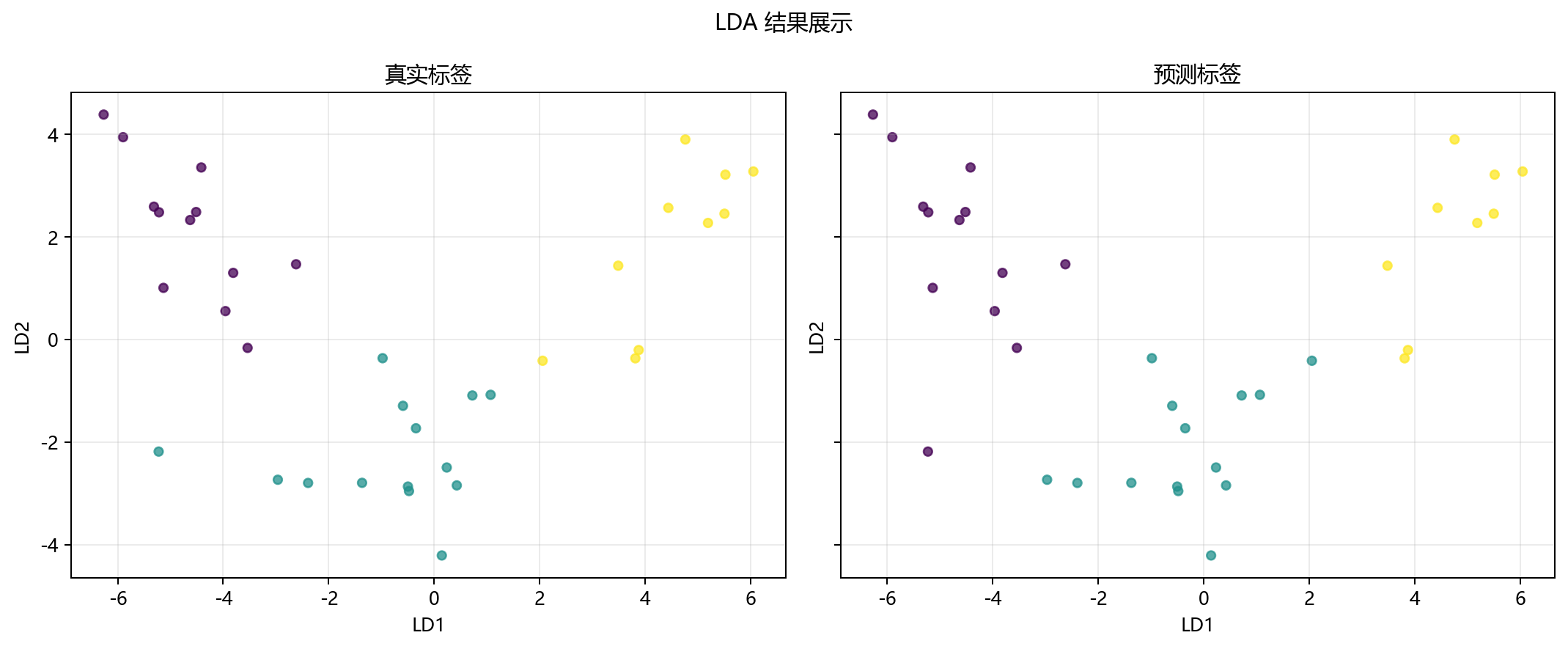 运行结果展示